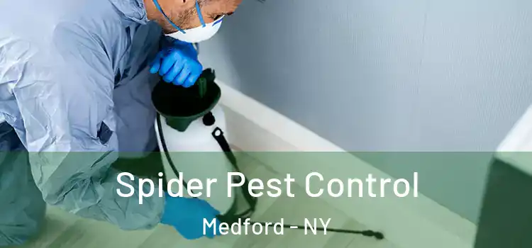 Spider Pest Control Medford - NY