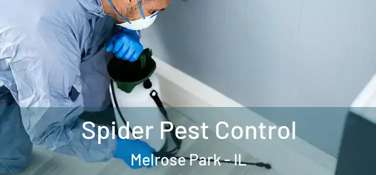 Spider Pest Control Melrose Park - IL