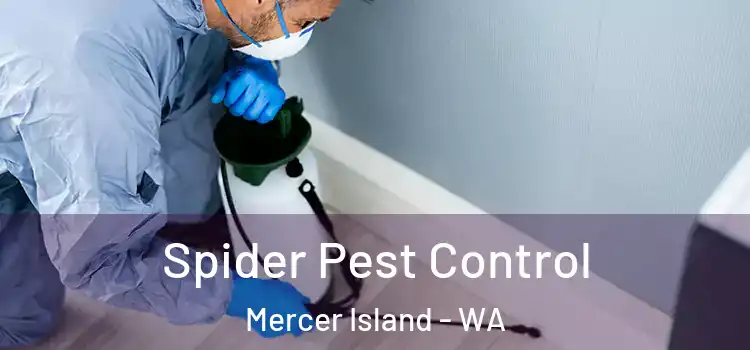  Spider Pest Control Mercer Island - WA