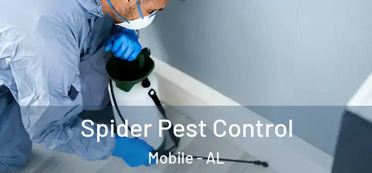  Spider Pest Control Mobile - AL