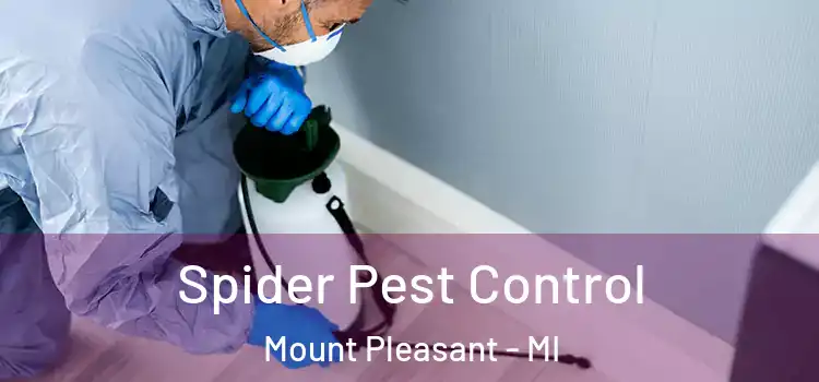  Spider Pest Control Mount Pleasant - MI