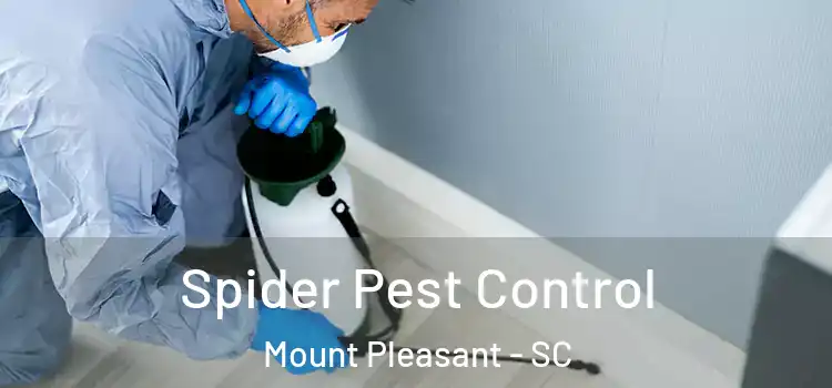  Spider Pest Control Mount Pleasant - SC