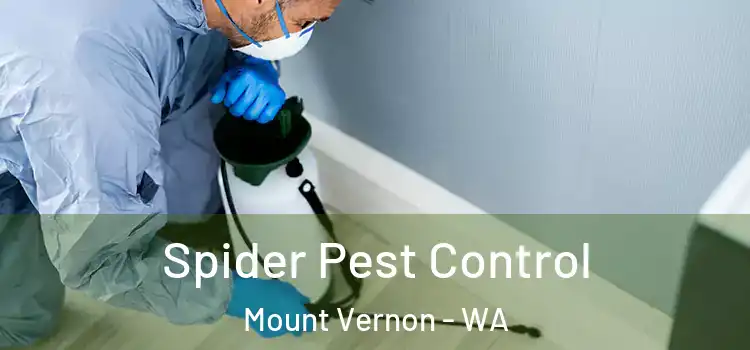 Spider Pest Control Mount Vernon - WA
