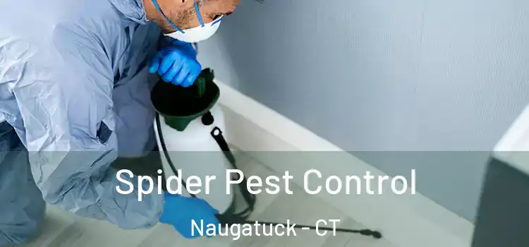  Spider Pest Control Naugatuck - CT