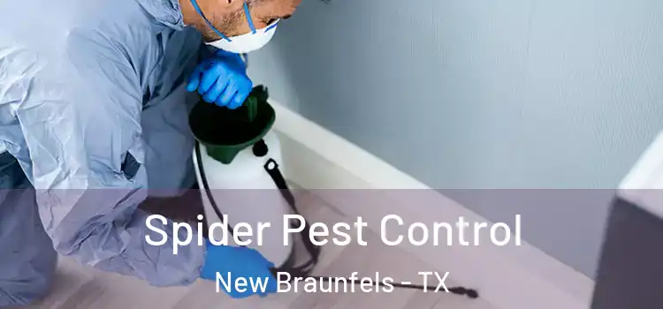  Spider Pest Control New Braunfels - TX