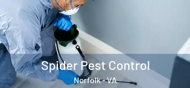  Spider Pest Control Norfolk - VA