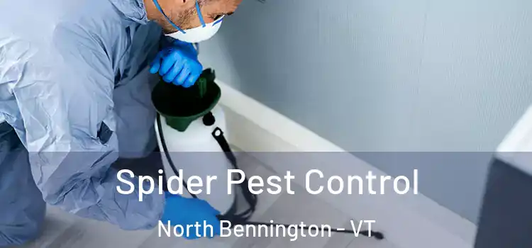 Spider Pest Control North Bennington - VT