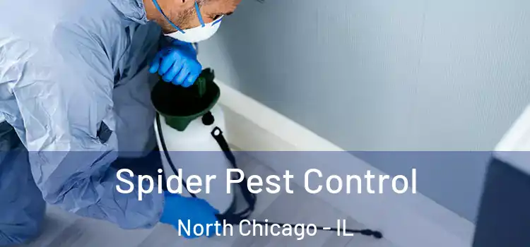  Spider Pest Control North Chicago - IL