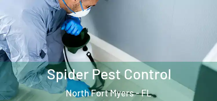 Spider Pest Control North Fort Myers - FL