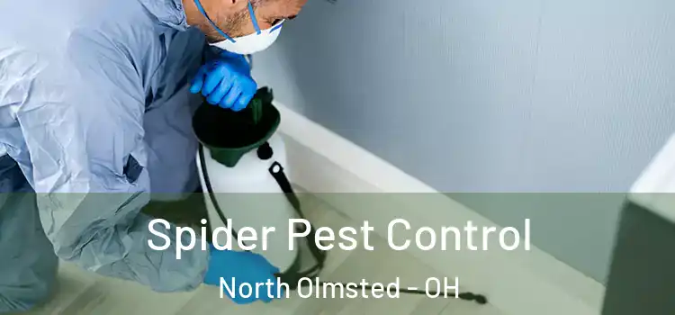  Spider Pest Control North Olmsted - OH