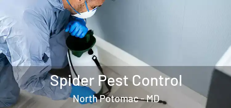  Spider Pest Control North Potomac - MD