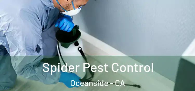Spider Pest Control Oceanside - CA