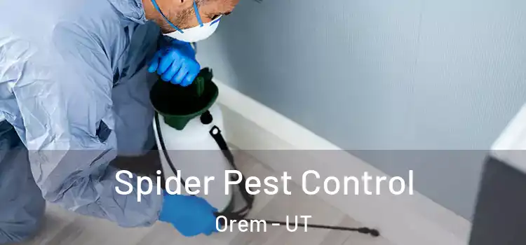  Spider Pest Control Orem - UT