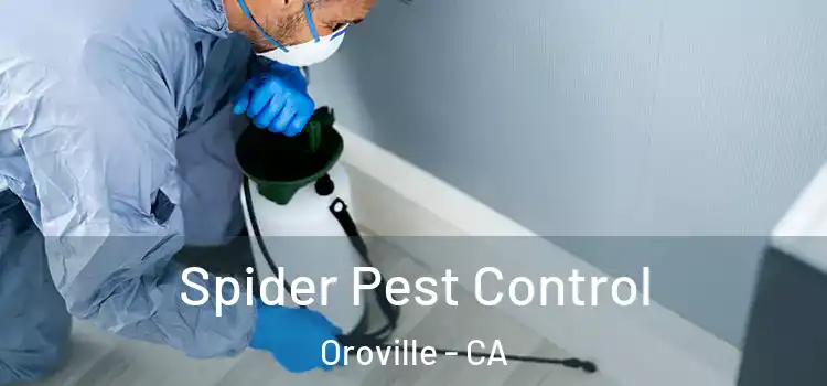 Spider Pest Control Oroville - CA