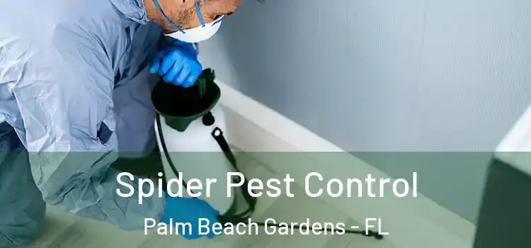 Spider Pest Control Palm Beach Gardens - FL
