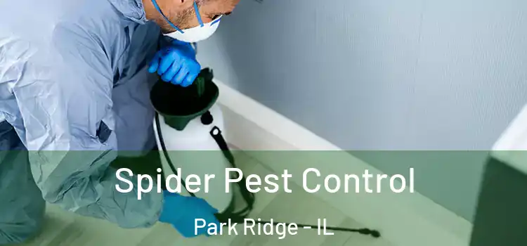  Spider Pest Control Park Ridge - IL