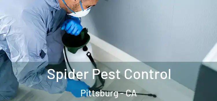 Spider Pest Control Pittsburg - CA