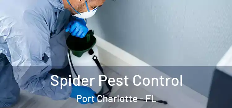  Spider Pest Control Port Charlotte - FL