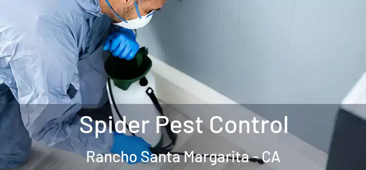  Spider Pest Control Rancho Santa Margarita - CA