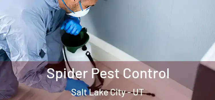  Spider Pest Control Salt Lake City - UT
