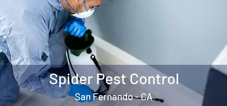  Spider Pest Control San Fernando - CA