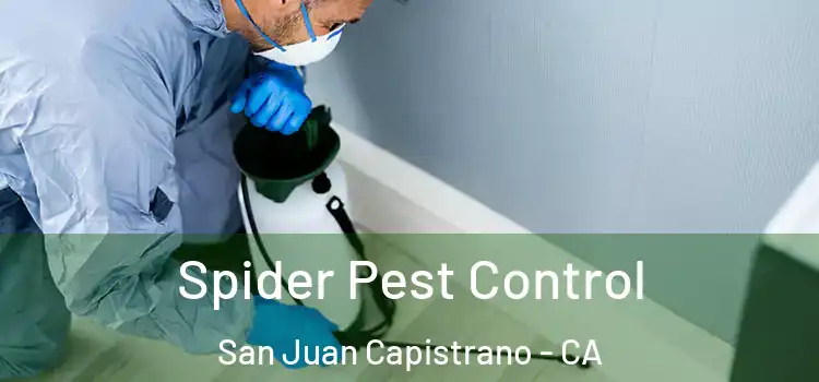  Spider Pest Control San Juan Capistrano - CA