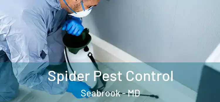  Spider Pest Control Seabrook - MD