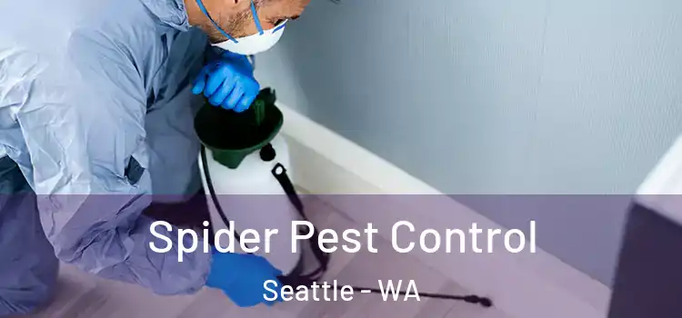  Spider Pest Control Seattle - WA