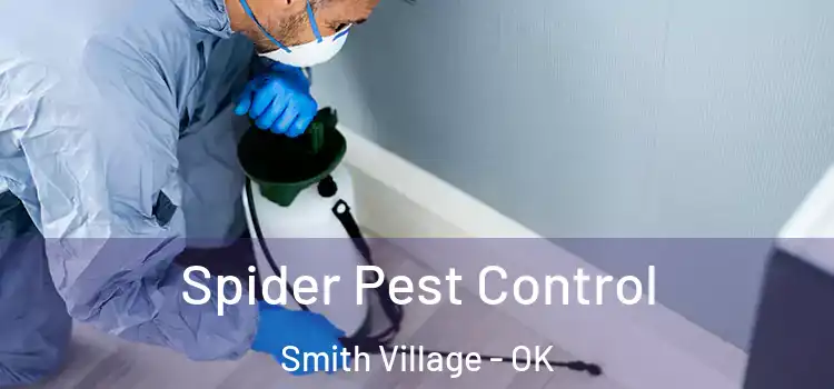 Spider Pest Control Smith Village - OK