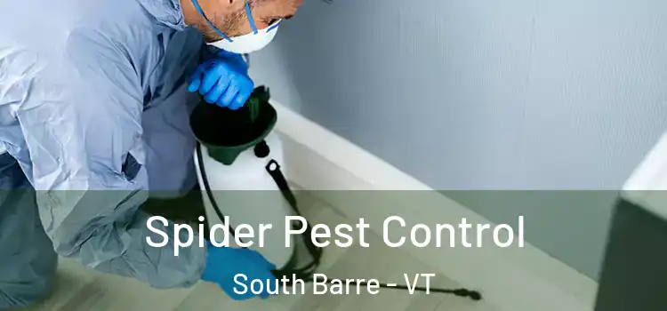  Spider Pest Control South Barre - VT