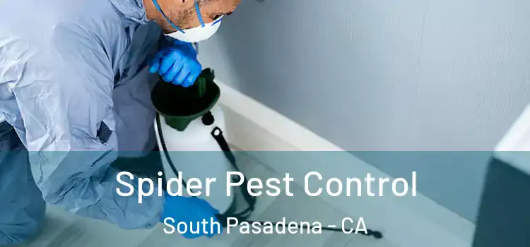 Spider Pest Control South Pasadena - CA