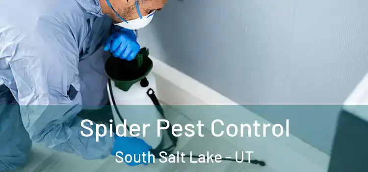  Spider Pest Control South Salt Lake - UT