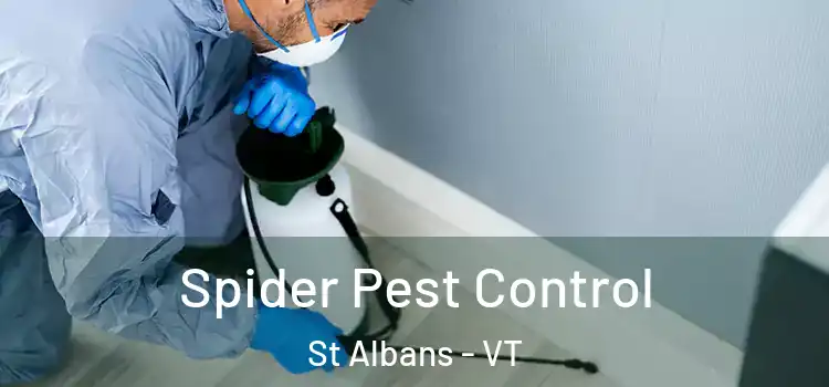 Spider Pest Control St Albans - VT