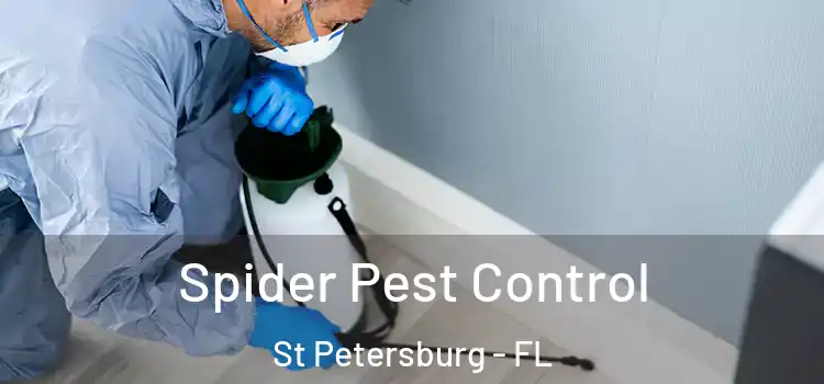  Spider Pest Control St Petersburg - FL