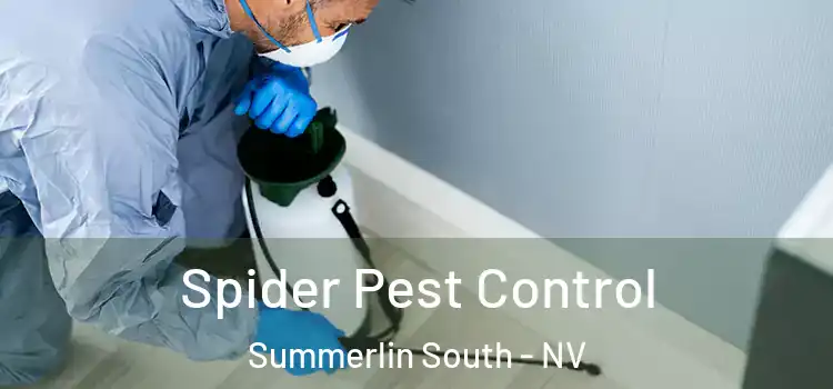 Spider Pest Control Summerlin South - NV