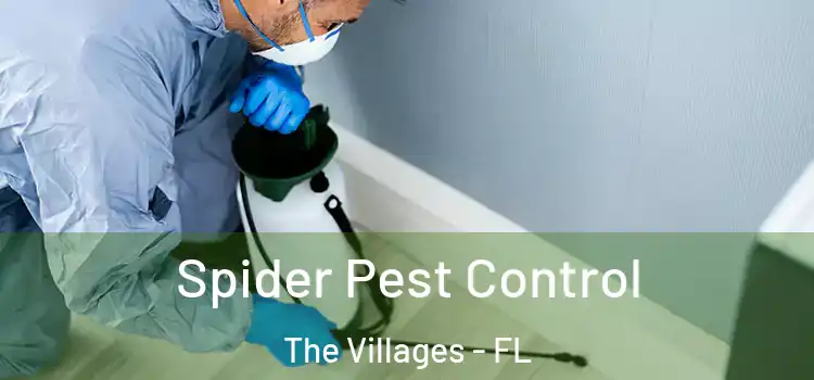  Spider Pest Control The Villages - FL
