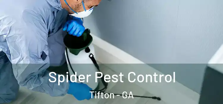  Spider Pest Control Tifton - GA