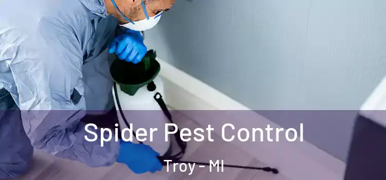  Spider Pest Control Troy - MI