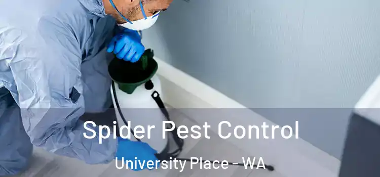  Spider Pest Control University Place - WA