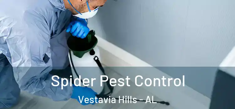  Spider Pest Control Vestavia Hills - AL