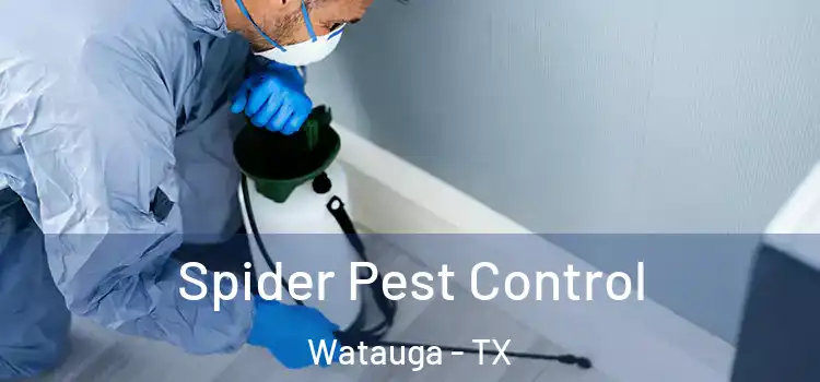 Spider Pest Control Watauga - TX