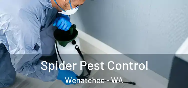  Spider Pest Control Wenatchee - WA