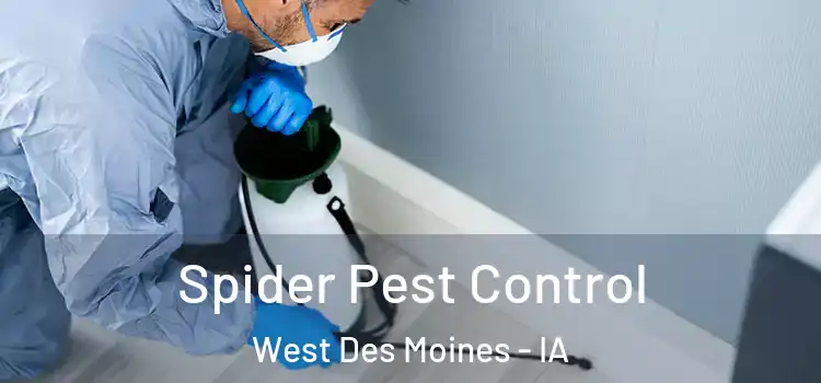 Spider Pest Control West Des Moines - IA