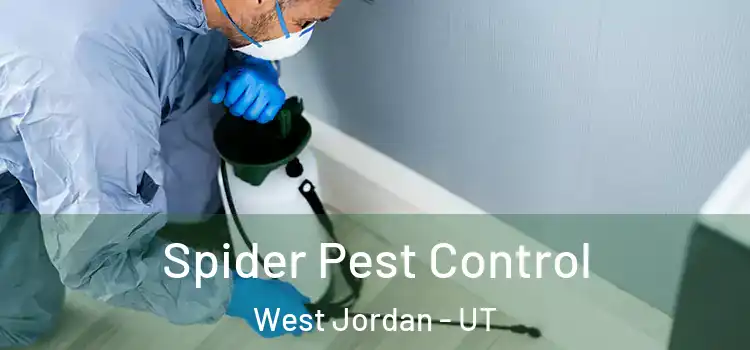  Spider Pest Control West Jordan - UT