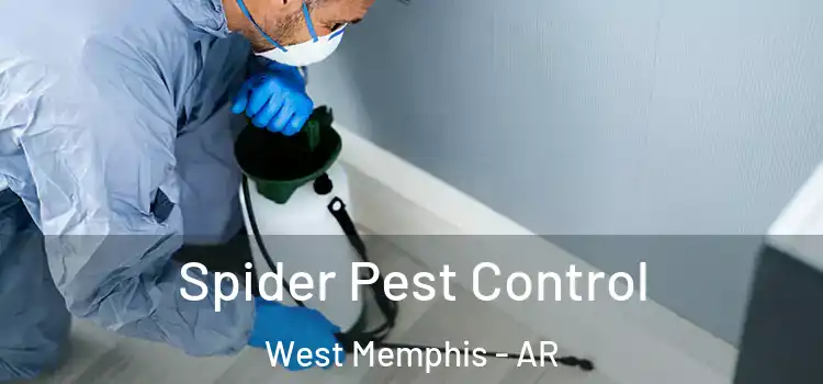 Spider Pest Control West Memphis - AR