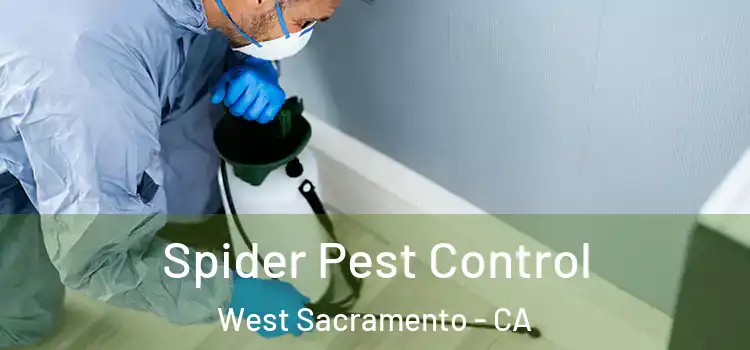  Spider Pest Control West Sacramento - CA