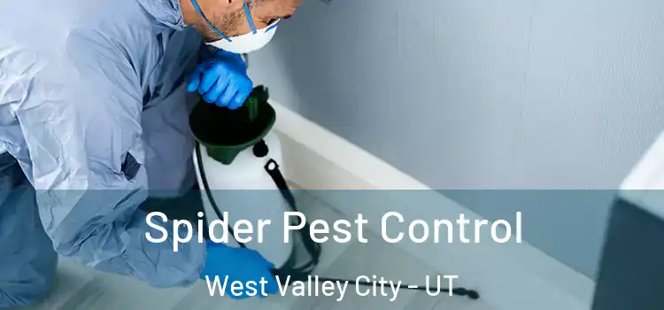  Spider Pest Control West Valley City - UT