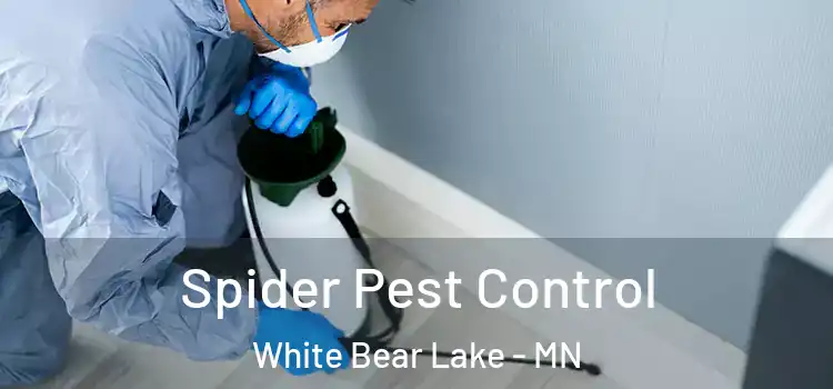 Spider Pest Control White Bear Lake - MN