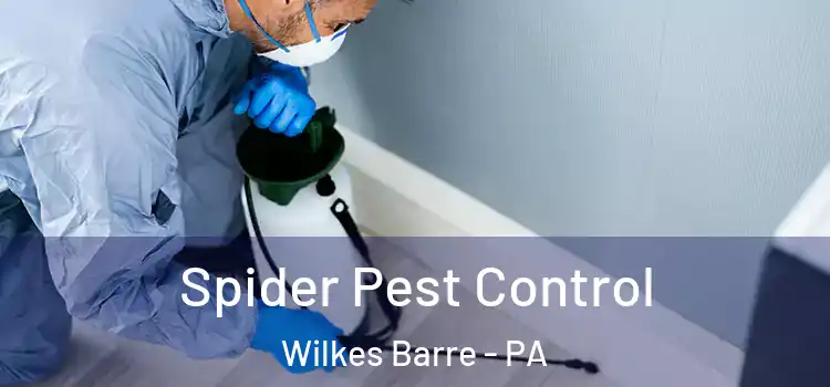  Spider Pest Control Wilkes Barre - PA