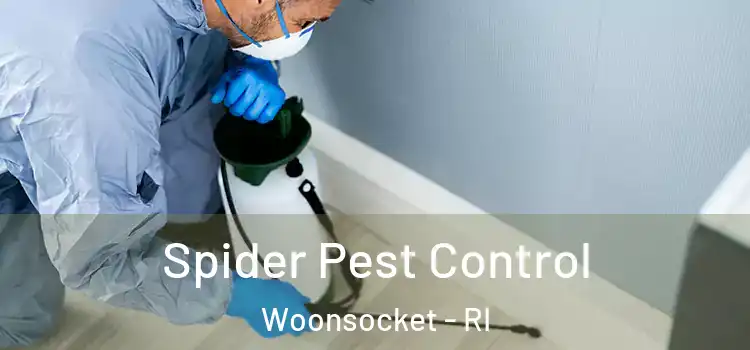 Spider Pest Control Woonsocket - RI